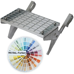 Dachtritt-Set 42x25cm, Klemm-Montage, RAL-Farben
