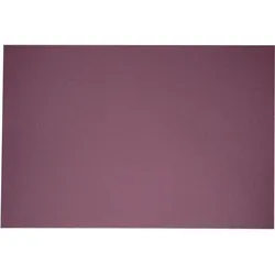 Excentr Schleifpapier P40 für 55-35