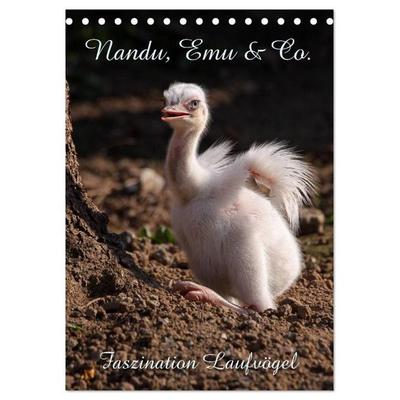 Nandu, Emu & Co. (Tischkalender 2027 DIN A5 hoch), CALVENDO Monatskalender