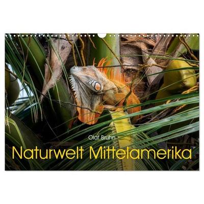 Naturwelt Mittelamerika (Wandkalender 2027 DIN A3 quer), CALVENDO Monatskalender