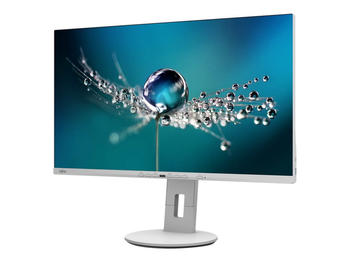 Fujitsu B2711 TE FHD, 68,6 cm (27"), 1920 x 1080 Pixel, Full HD, LED, 5 ms, Grau