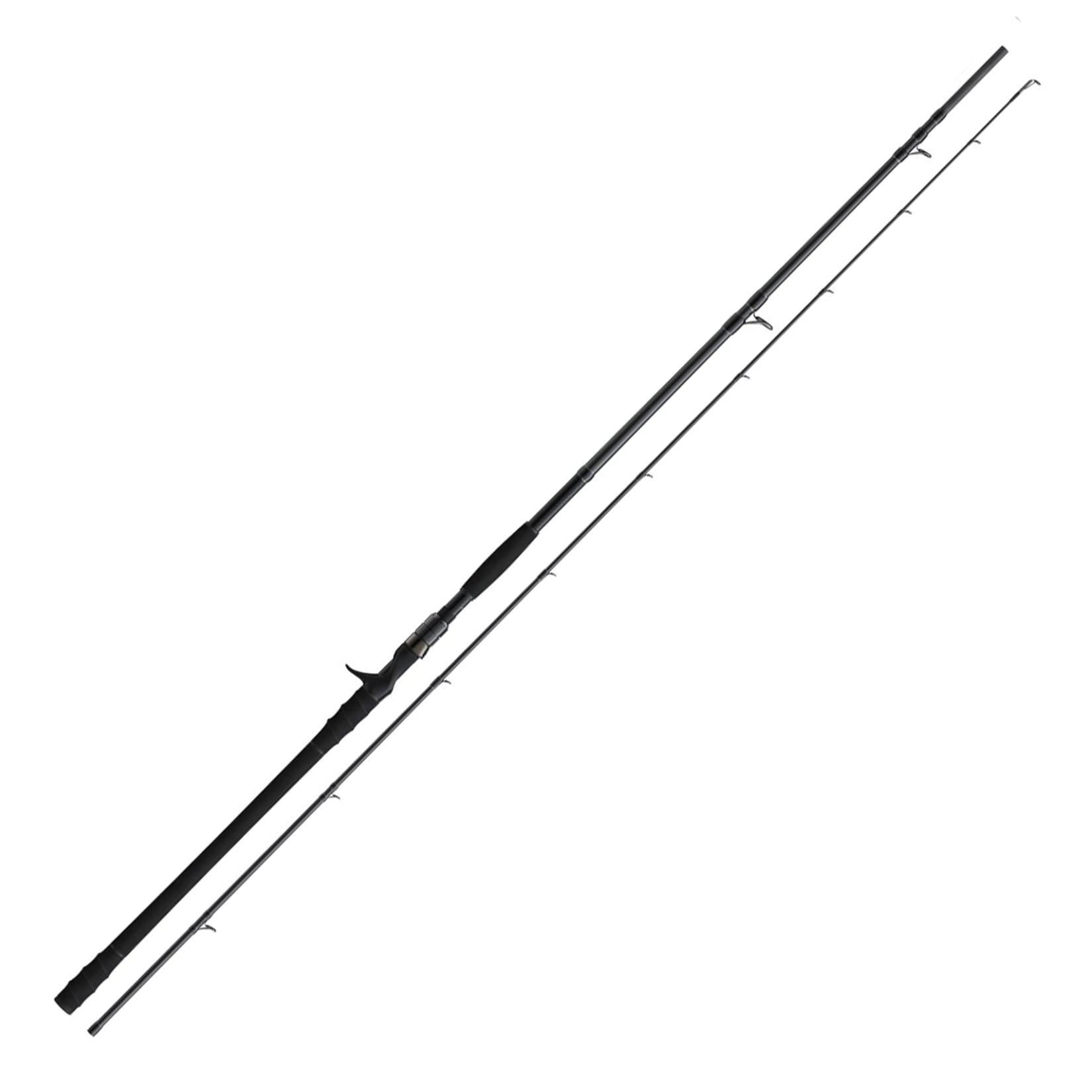Nays NXT BTSD Casting 2,90m 150-400 g Bigbait Baitcastrute