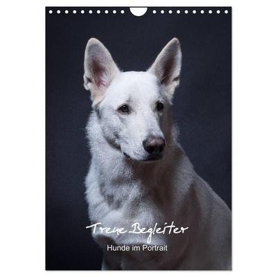 Treue Wegbegleiter, Hunde im Portrait. (Wandkalender 2027 DIN A4 hoch), CALVENDO Monatskalender