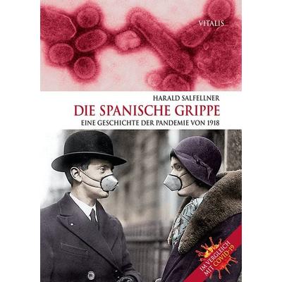 Die Spanische Grippe, Gebundene Ausgabe von Harald Salfellner, Vitalis, 978-3-89919-794-5