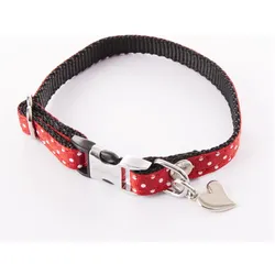 Alter Ego Italy XS (XS, Hund, Spazieren), Halsband + Leine