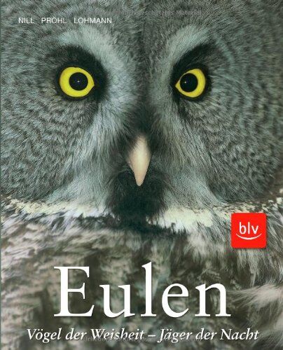 Michael Lohmann - Eulen: Vögel der Weisheit - Jäger der Nacht - Preis vom 09.10.2026 07:28:09 h