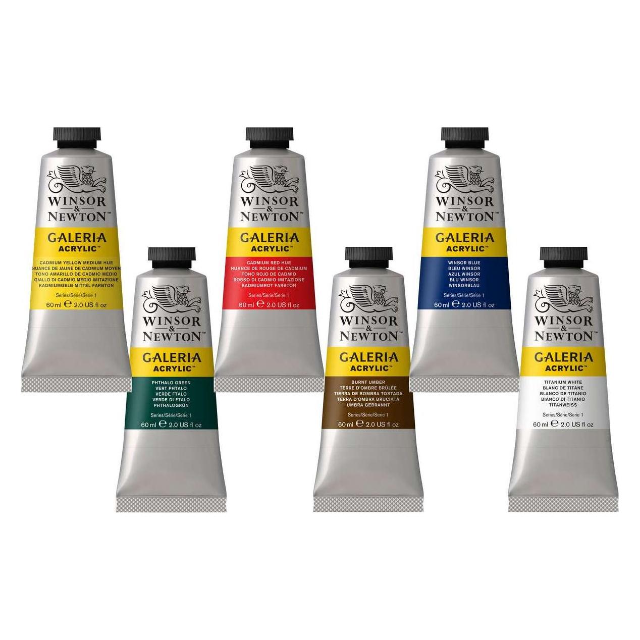 Winsor & Newton Galeria Acrylic 6x60ml set (2190516)