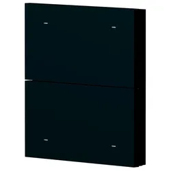 Theben 2-fach Wippe Metall iONprime PB 2R MBK