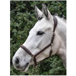 Equiline, Halfter