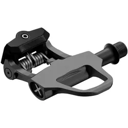 Q36.5 x SRM Pedale X-Power Direct Road