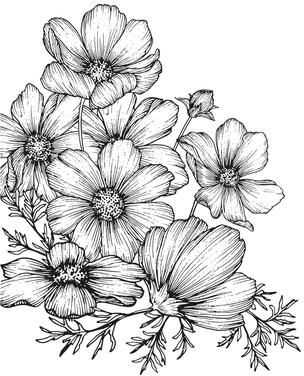 Veer Decor Poppies Linework Wall Mural