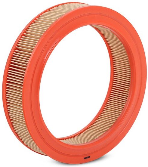 FILTRON AR 224 Air filter