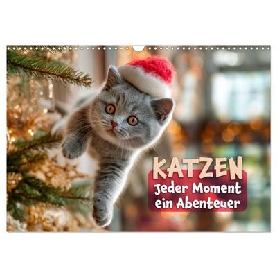 Katzen - Jeder Moment ein Abenteuer (Wandkalender 2027 DIN A3 quer), CALVENDO Monatskalender