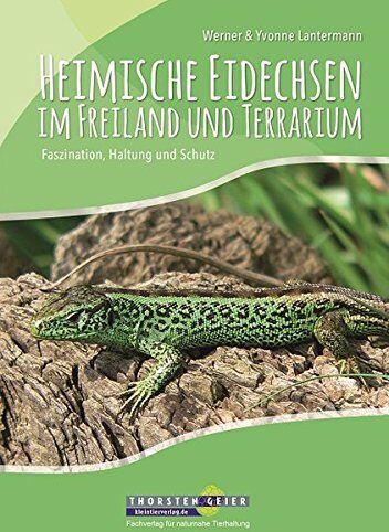Werner Lantermann - Heimische Eidechsen im Freiland und Terrarium: Faszination, Haltung und Schutz - Preis vom 17.10.2026 19:25:27 h