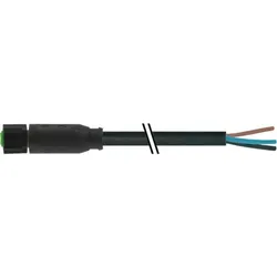 Murrelektronik Verbindungsleitung 7005-08061-6311000