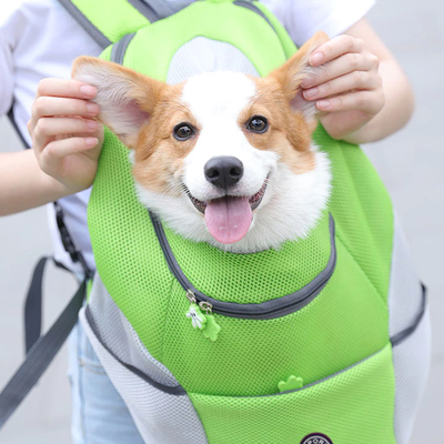 PetsAreLife Dog Backpack Green L