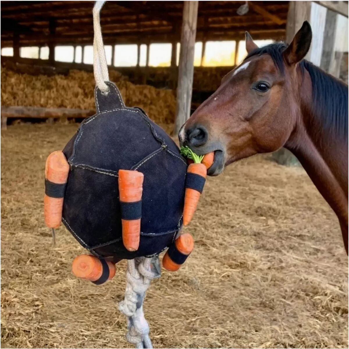 INF Balle d'alimentation d'entraînement pour cheval (Noir) - Polyester, distributeur de carottes et sac à foin d'enrichissement
