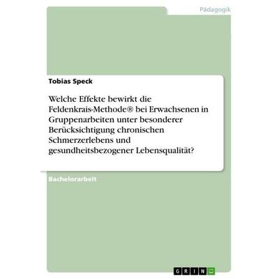 Welche Effekte bewirkt die Feldenkrais-Methode® bei Erwachsenen in Gruppenarbeiten unter besonderer Berücksichtigung chronischen Schmerzerlebens und