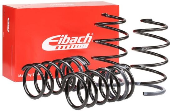 EIBACH E10-84-004-01-22 Suspension kit, coil springs
