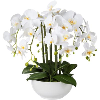 Kunstpflanze CREATIV GREEN, weiß, H:54cm, Kunststoff, Kunstpflanzen, Kunstpflanze