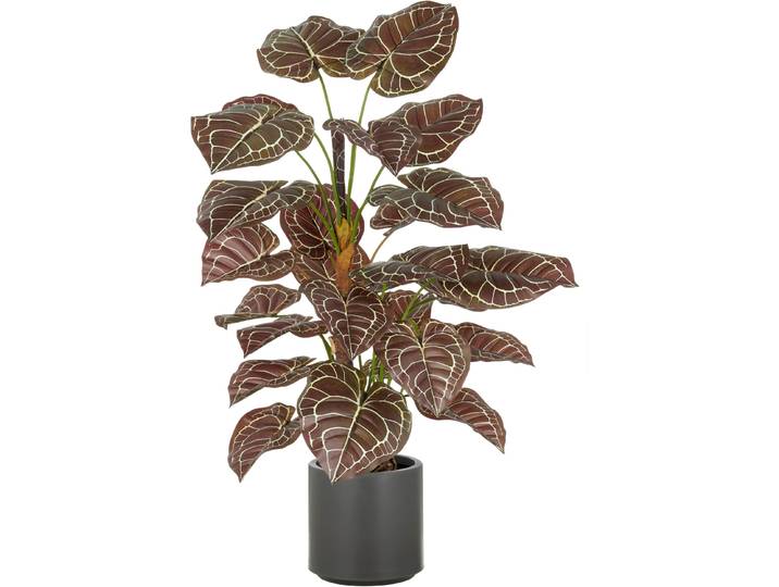 Kunstpflanze CREATIV GREEN Anthurium , braun, H:100cm, Kunststoff, Kunstpflanzen, Kunstpflanze, mit naturgetreuer Gestaltung