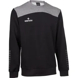 DERBYSTAR Ultimo Sweatshirt schwarz/grau L