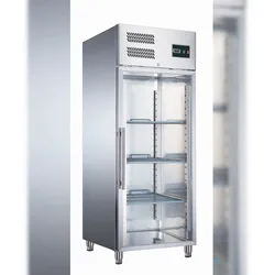 Tiefkühlschrank mit Glastür, Modell EGN 650 BTG