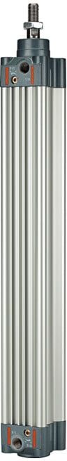 Riegler Normzylindre, double effet, aimant, Ø piston 50, course 100, G 1/4 (5.DMD.50100)