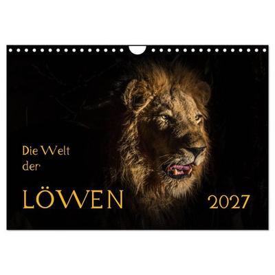 Die Welt der Löwen (Wandkalender 2027 DIN A4 quer), CALVENDO Monatskalender