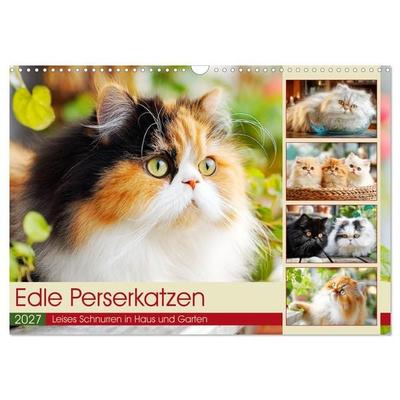 Edle Perserkatzen. Leises Schnurren in Haus und Garten (Wandkalender 2027 DIN A3 quer), CALVENDO Monatskalender