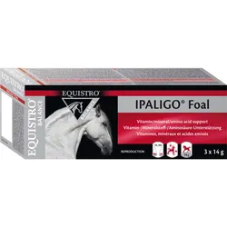 Equistro Ipaligo Foal Paste Erg.-Futterm.f.pferde 42 G