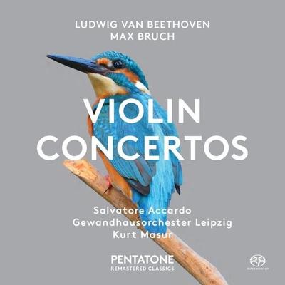 Violinkonzerte - Ludwig van Beethoven,Max Bruch, CD, 0827949023767