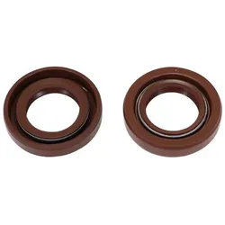 Artein Gaskets, Motorrad Zubehör, Derbi 50 Senda, Gpr - Gilera 50 Smt, Rcr 2 Viton Pro-Series