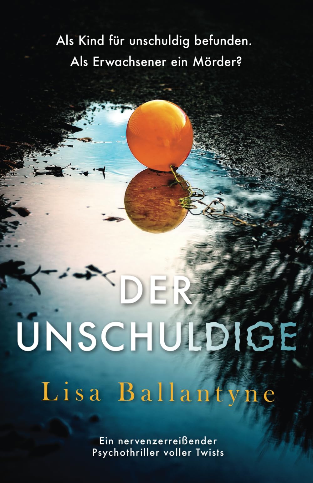 Lisa Ballantyne - Der Unschuldige: Ein nervenzerreißender Psychothriller voller Twists - Preis vom 09.10.2026 07:28:09 h