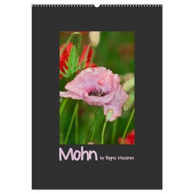Mohn (Wandkalender 2027 DIN A2 hoch), CALVENDO Monatskalender