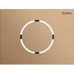 Gira 5579921 Frontpl. Türstationsmodul System 106 Bronze