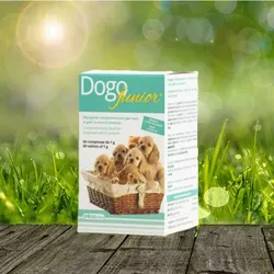 DogoJunior  60 Stück - unterstützt Sehnen, Bänder, Gelenke - mit Grünlippmuschel