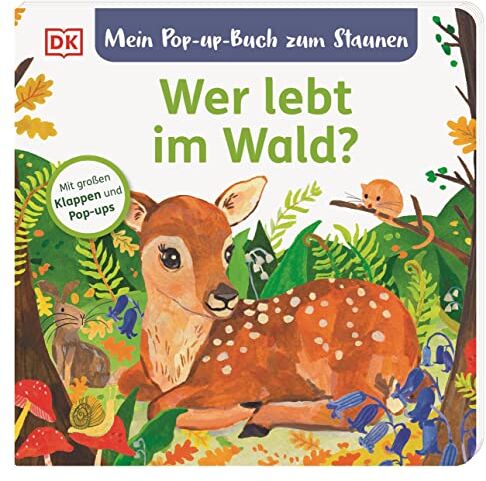 Sandra Grimm - Mein Pop-up-Buch zum Staunen. Wer lebt im Wald?: Naturbilderbuch mit Klappen und Pop-ups. Natur entdecken mit bezaubernden Bildern und Reimen. Für Kinder ab 2 Jahren - Preis vom 18.10.2026 15:28:09 h