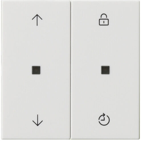 Gira Module de commande radio Mem.Flèches blanc pur 549203 (549203)