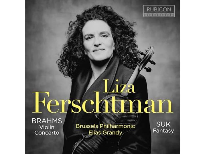 Brahms: Violin Concerto/Suk: Fantasy