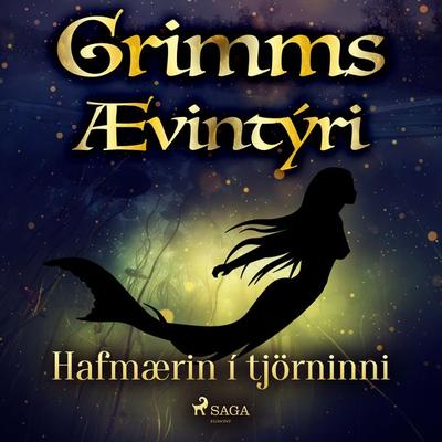 Hafmærin í tjörninni - Grimmsbræður, Audio, 9788728038697