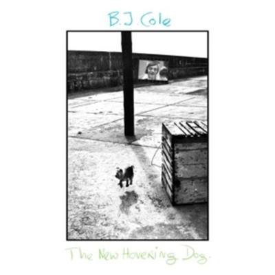 The New Hovering Dog (180g Black LP) - BJ Cole, Vinyl