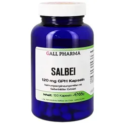 SALBEI 120 mg GPH Kapseln 120 St