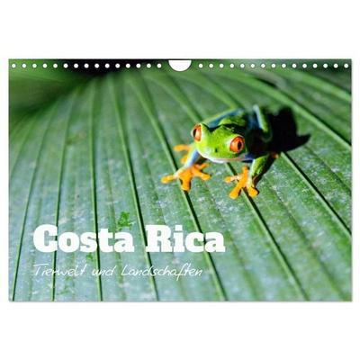 Costa Rica - Tierwelt und Landschaften (Wandkalender 2027 DIN A4 quer), CALVENDO Monatskalender