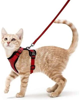 Inspired Finds SafePaws Escape Proof Reflective Cat Harness & Leash Set red s