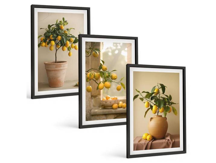 Tulup Bilder SET 3er Set - 40x60 cm Schwarzer Rahmen - Zitronenbäume im Topf, Kunststoff, Rechteckig, 40x60 cm, Fotografie, Bilder & Rahmen, Bilder