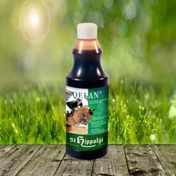 St. Hippolyt Quelan 500 ml - für den Extrakick