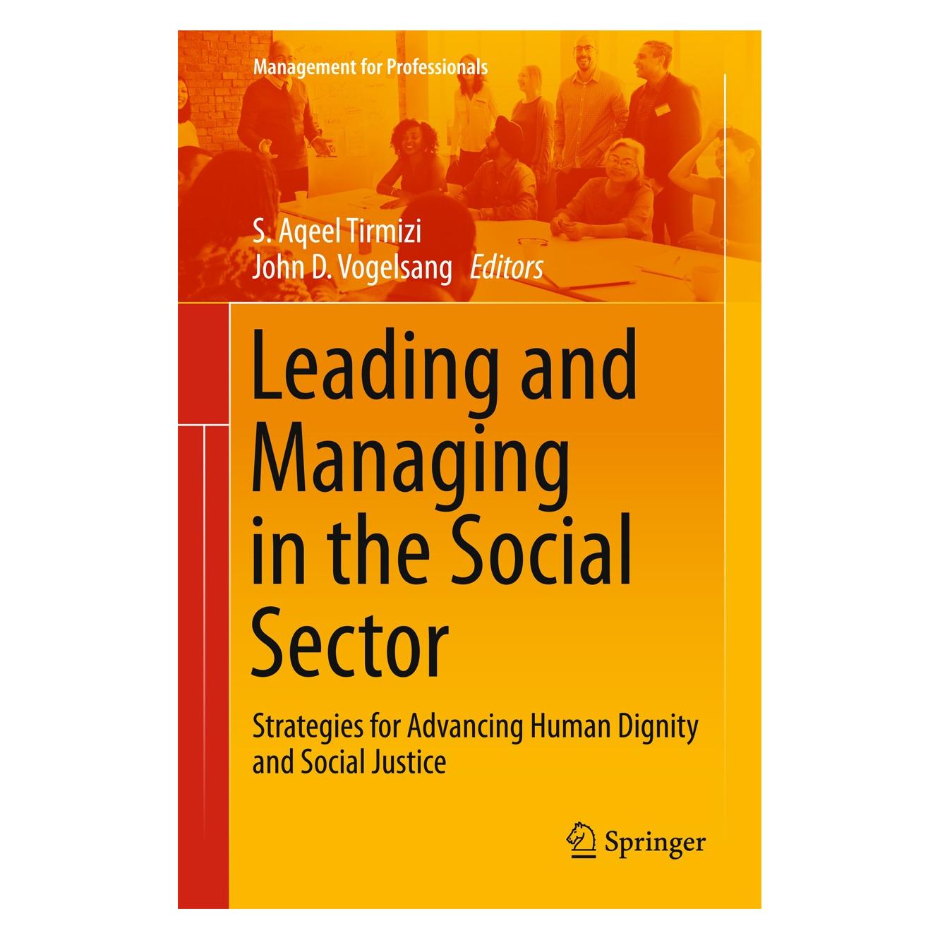 Springer Leading and Managing in the Social Sect (Englisch, Hardcover, John D. Vogelsang, S. Aqeel Tirmizi) (9783319470443)