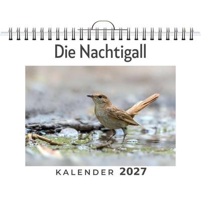 Die Nachtigall