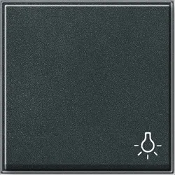 Gira Wippe Licht anth 028567